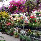 Mayflower Greenhouse