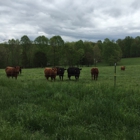 Jakes Legacy Farm