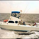 Anglers Fishing Center - Fishing Charters & Parties