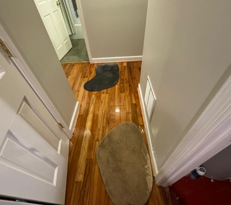 Flood Damage Pro - Alexandria, VA