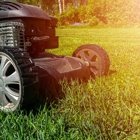 All About Tree & Turf Services