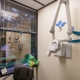 Poplin Pediatric Dentistry: Jared Poplin, DMD