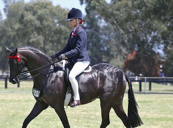 G & V Produce & Saddlery