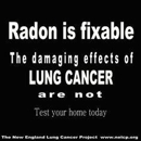 Precise Radon Testing Labs, Inc. - Home Improvements