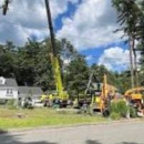 Royer Tree Service Inc - Stump Removal & Grinding