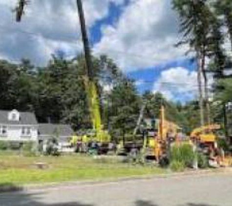 Royer Tree Service Inc - Dedham, MA