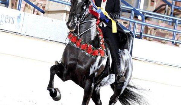 Stone Hurst Ridding Center - Louisville, KY