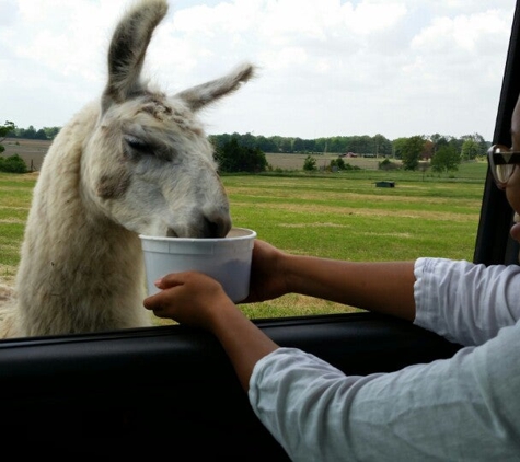 Tennessee Safari Park - Alamo, TN