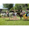 Deb's Pony Parties gallery