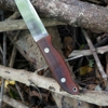 Screech Owl Knives gallery