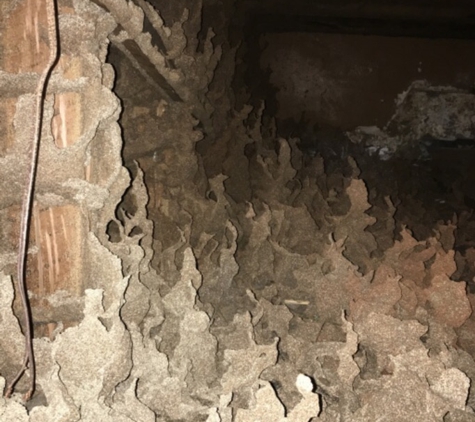 Perkins Exterminators Pty Ltd - Greensborough, VIC
