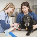 Animal Clinic of Woodruff - Veterinarians