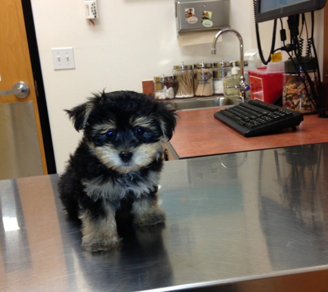 Banfield Pet Hospital - Leesburg, VA