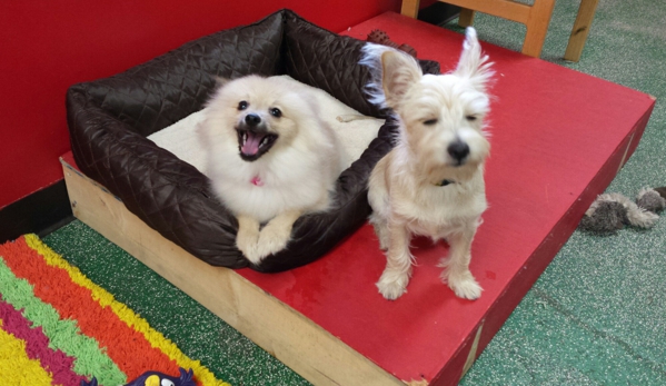 Club K9 Doggie Daycare,Grooming & Boarding - South Charleston, WV