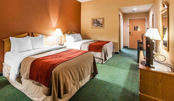 Comfort Inn - Newport, TN