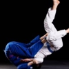 5 Elements Studio- Jiu-Jitsu & Fitness gallery