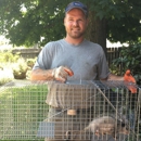 All Star Animal Trapping - Animal Removal Services