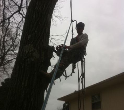 Top Notch Tree Service - Huntsville, AL