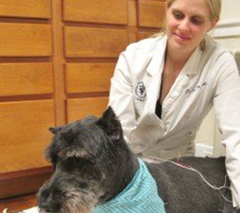 Doylestown Veterinary Hospital & Holistic Pet Care - Doylestown, PA