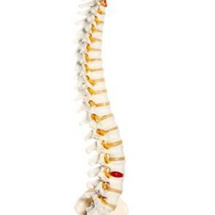 Brisbane CBD Chiropractic - Spring Hill, QLD