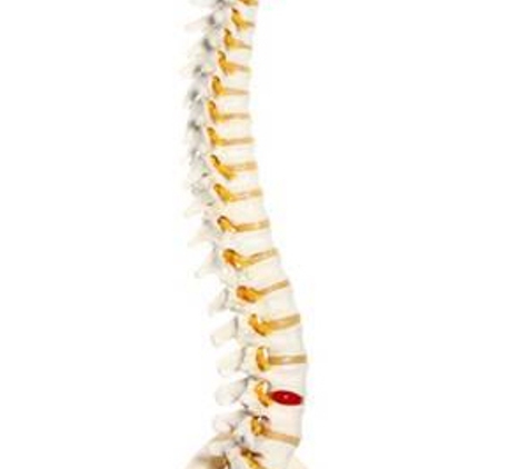Victoria Point Chiropractic - Victoria Point, QLD