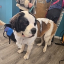 In N Out Pet Services - Pet Grooming