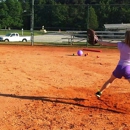 The Art of Fastpitch - Sports Instruction