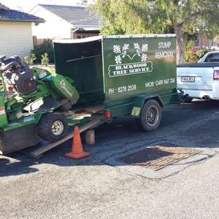 Blackwood Tree Service
