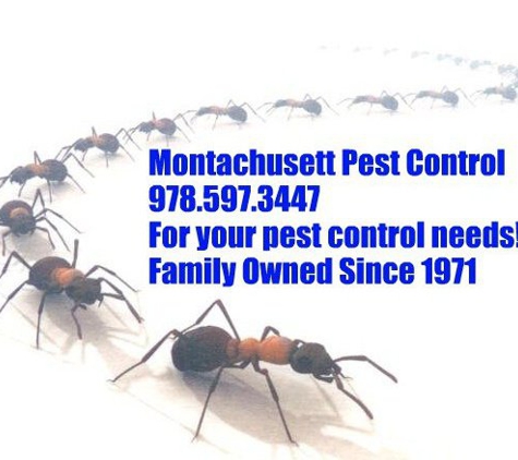 Montachusett Pest Control - Townsend, MA