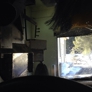 Photo #11