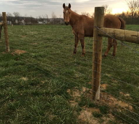 All Fence Company. Farm Fence