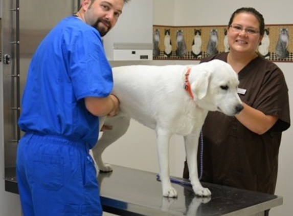 Katy Veterinary Clinic - Katy, TX