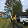 Roof's Tree Service gallery