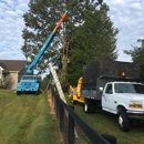 Roof's Tree Service - Tree Service