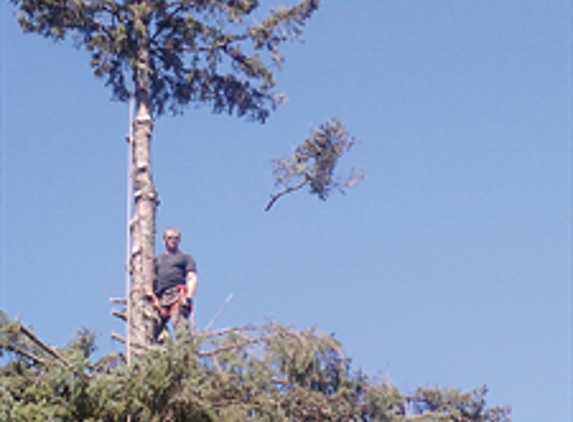 Drexler Tree Care - Minneapolis, MN