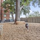 Camden Rainey Street Apartments