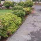 Go See Start - Lawn/Landscape Maintenance