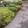 Go See Start - Lawn/Landscape Maintenance