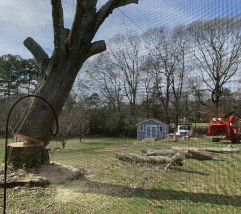 Porterfield Stump & Tree - Watkinsville, GA