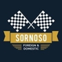 Sornoso Auto Repair - Brake and Light Inspection