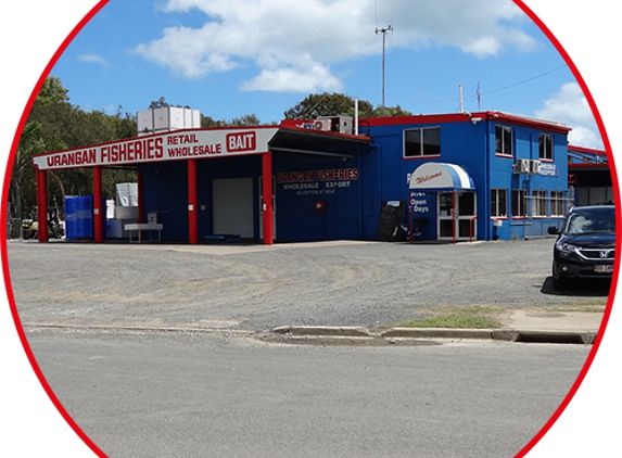 Urangan Fisheries - Urangan, QLD