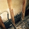 Mold Experts of Missouri & Kansas gallery