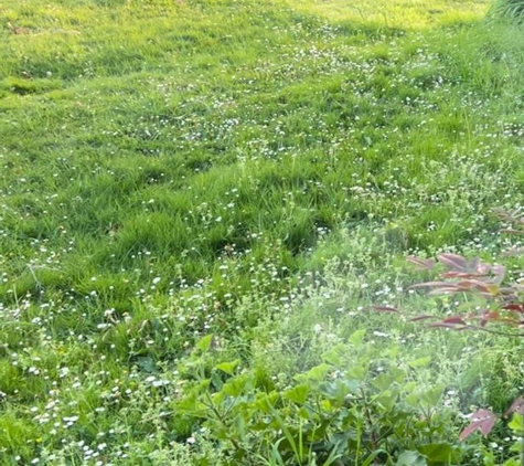 BJ's Mowing - Newhaven, VIC