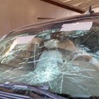 A1 Professional Windshields