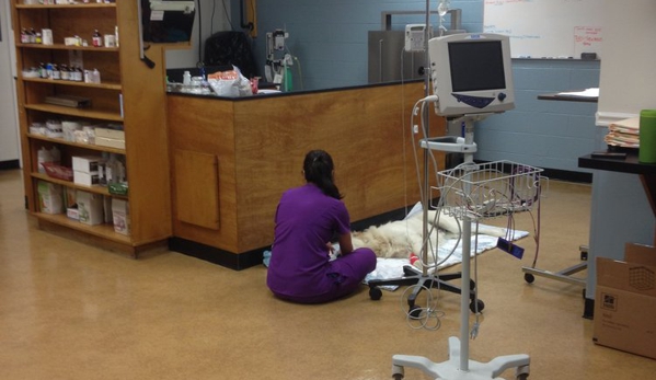 St Francis Hospital For Animals - Charlotte, NC