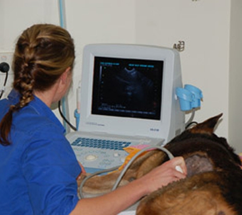 Macleay Valley Veterinary Services - Kempsey, NSW