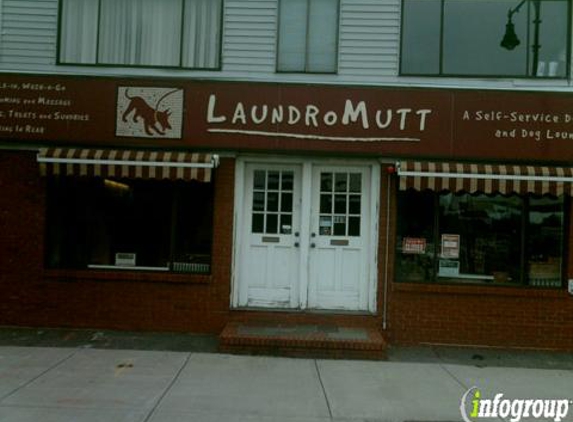 Laundromutt - Cambridge, MA