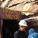 Phoenix Gold Mine - Convention Information