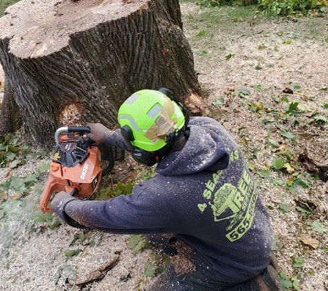 4 Seasons Tree Service - Newburgh, NY