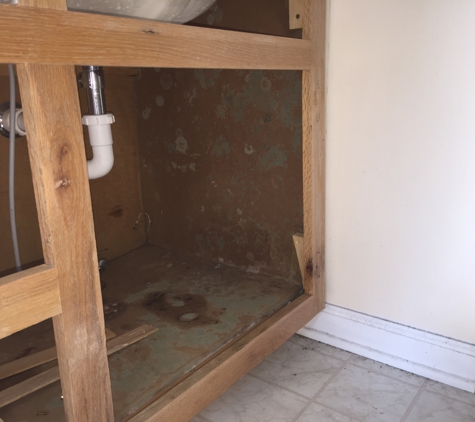 Greenway Home Services - Nashville, TN. Mold